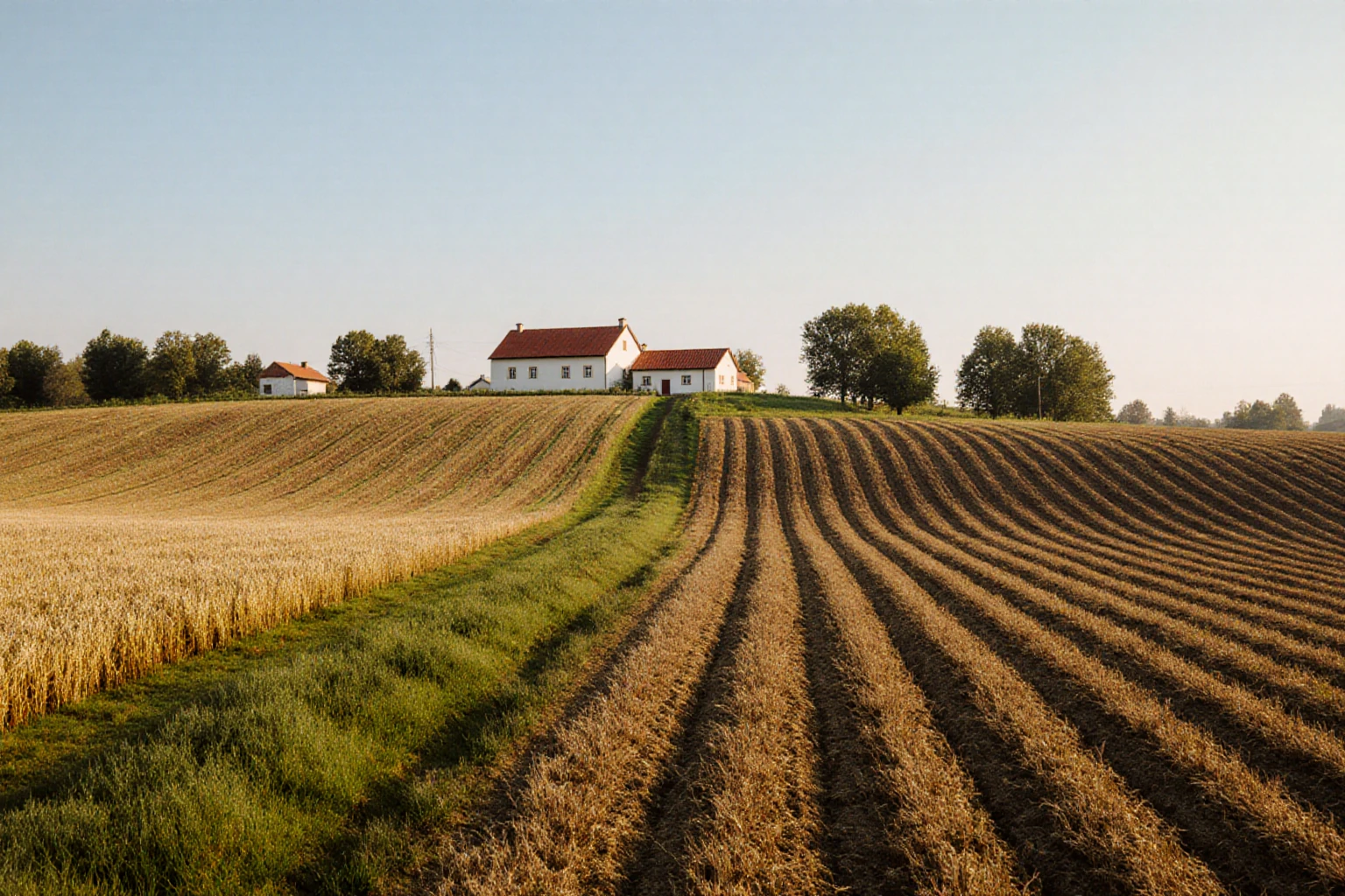 Polish farmland with field boundaries
